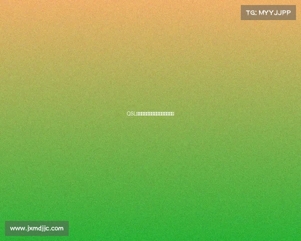 QSL赛事点燃竞技激情共创荣耀新时代