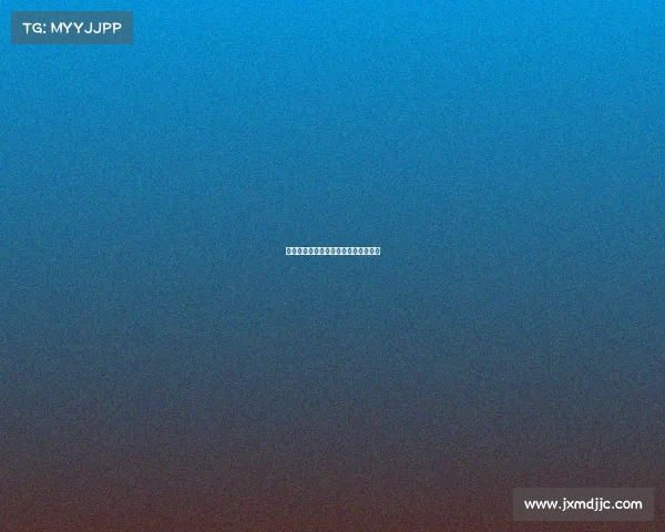 足球赛事编号系统详解与实用指南探究